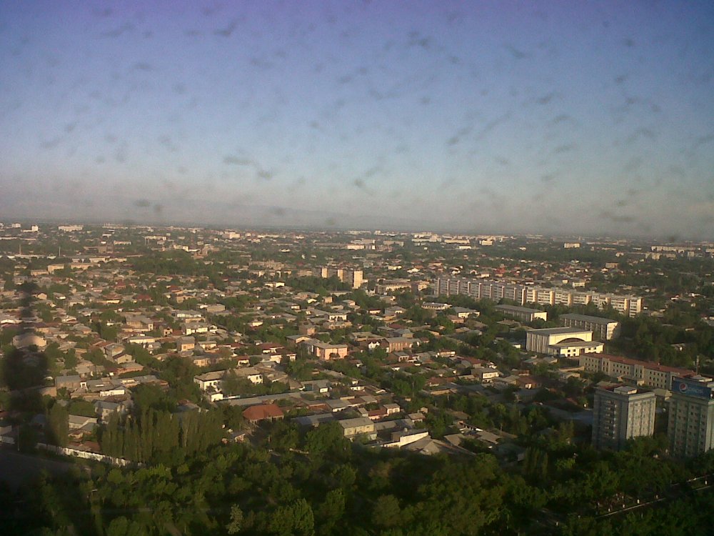 IMG00333-20130515-1824