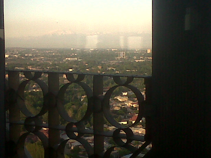 IMG00342-20130515-1853